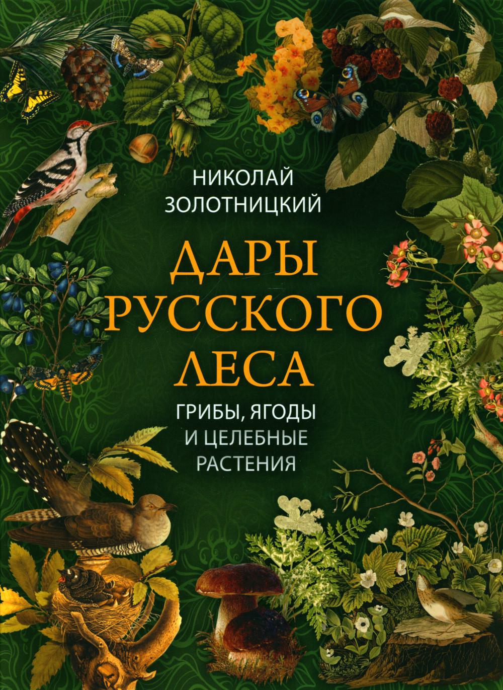 Дары русского леса Грибы Ягоды и целебные растения